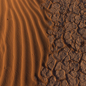 Verdiepingsmodule Arts als Coach | Rouw en de kunst van Verlies